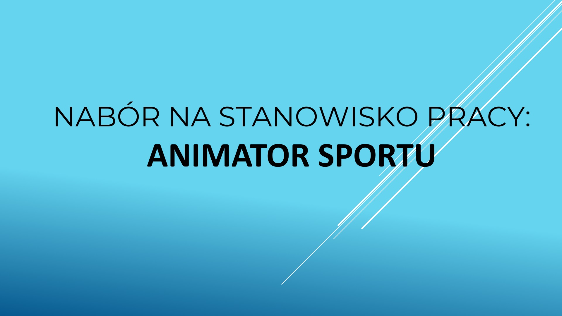 nabór ANIMATOR sportu.jpg